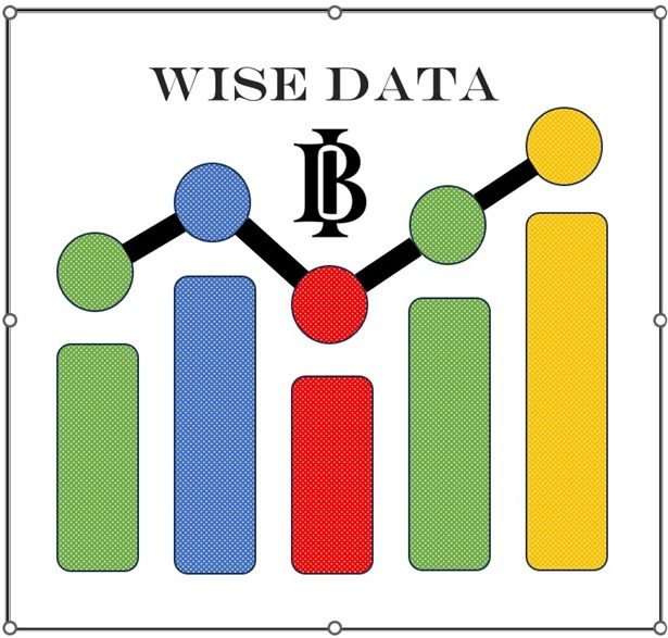 WISE DATA BI